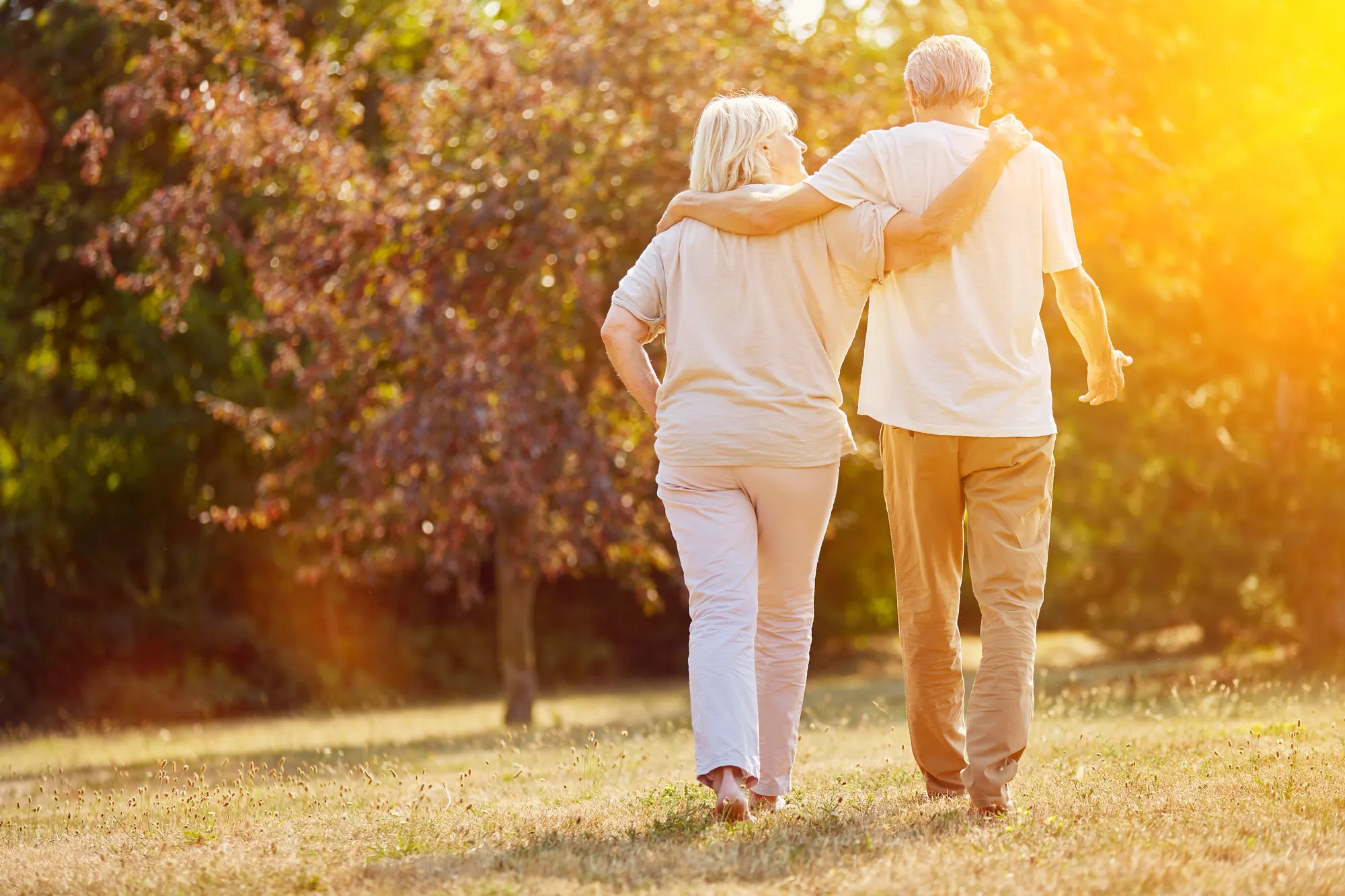 An older couple walking arm in arm across a sunlit field, seen from behind
